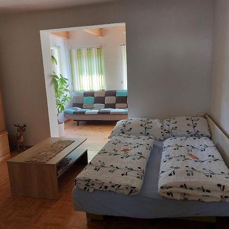 Grimmingapartment Maier Stainach Extérieur photo